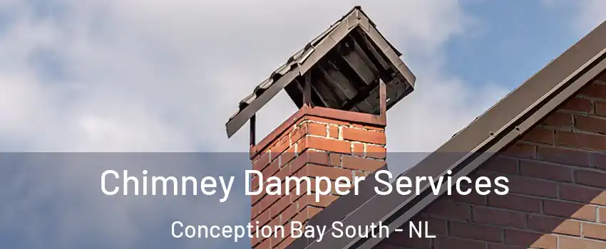  Chimney Damper Services Conception Bay South - NL