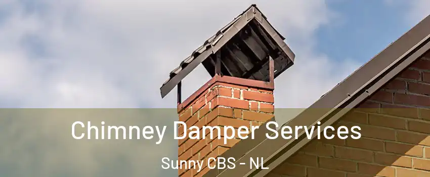  Chimney Damper Services Sunny CBS - NL
