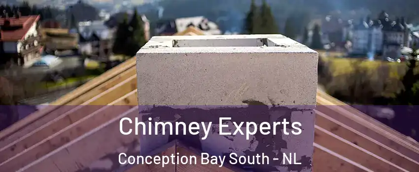  Chimney Experts Conception Bay South - NL