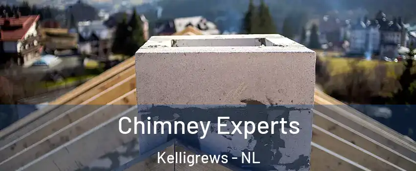  Chimney Experts Kelligrews - NL