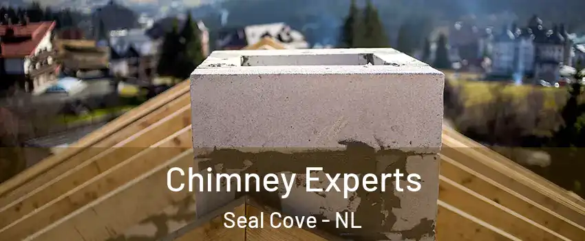  Chimney Experts Seal Cove - NL