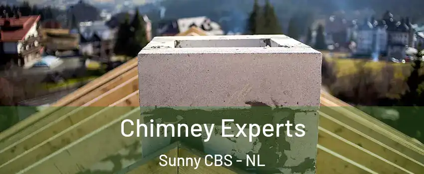  Chimney Experts Sunny CBS - NL