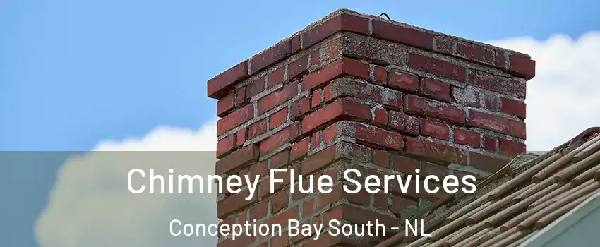  Chimney Flue Services Conception Bay South - NL