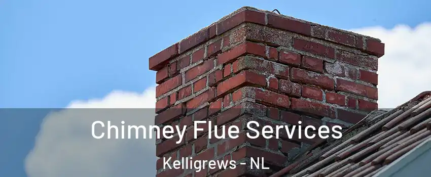  Chimney Flue Services Kelligrews - NL