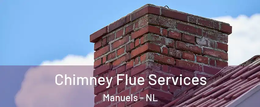 Chimney Flue Services Manuels - NL