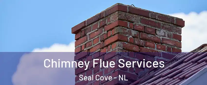  Chimney Flue Services Seal Cove - NL