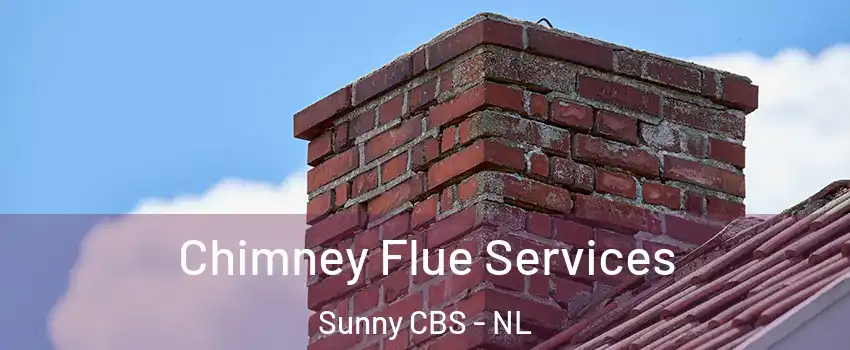  Chimney Flue Services Sunny CBS - NL