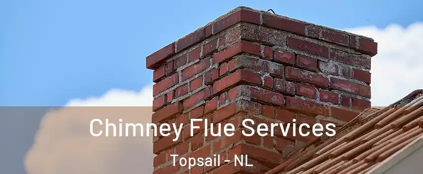  Chimney Flue Services Topsail - NL