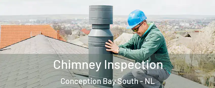  Chimney Inspection Conception Bay South - NL