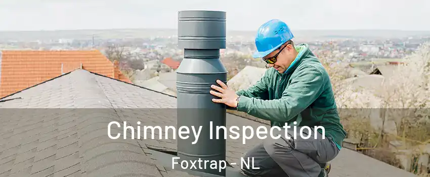  Chimney Inspection Foxtrap - NL