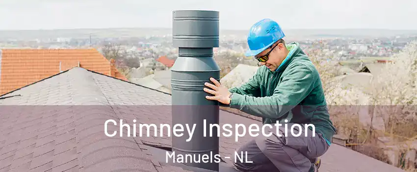  Chimney Inspection Manuels - NL
