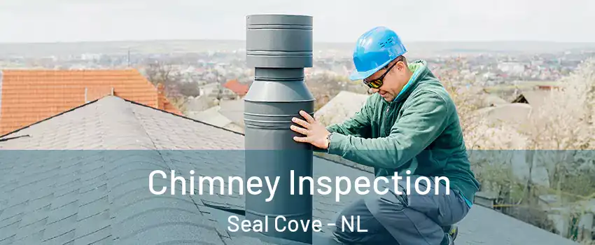  Chimney Inspection Seal Cove - NL