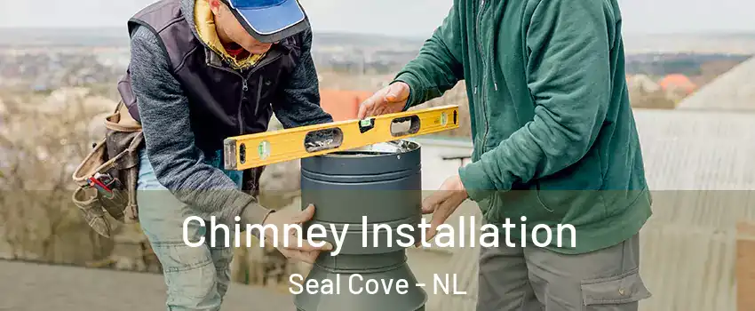  Chimney Installation Seal Cove - NL