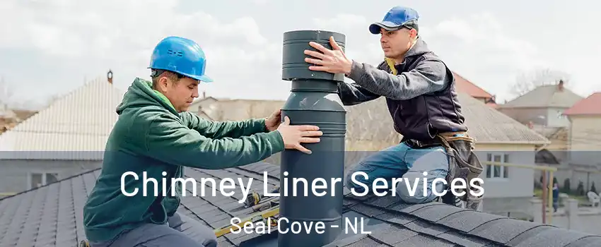  Chimney Liner Services Seal Cove - NL