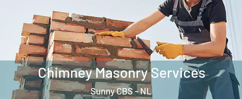  Chimney Masonry Services Sunny CBS - NL