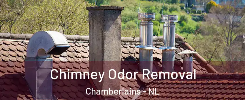  Chimney Odor Removal Chamberlains - NL