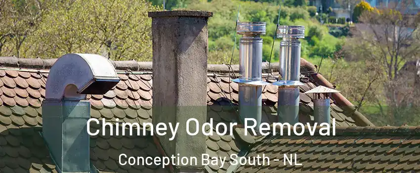  Chimney Odor Removal Conception Bay South - NL
