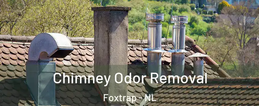  Chimney Odor Removal Foxtrap - NL