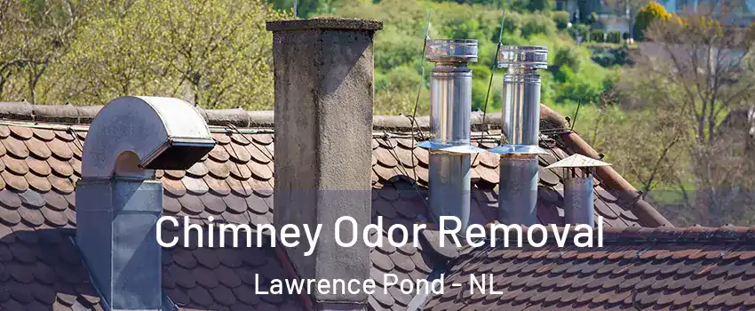  Chimney Odor Removal Lawrence Pond - NL
