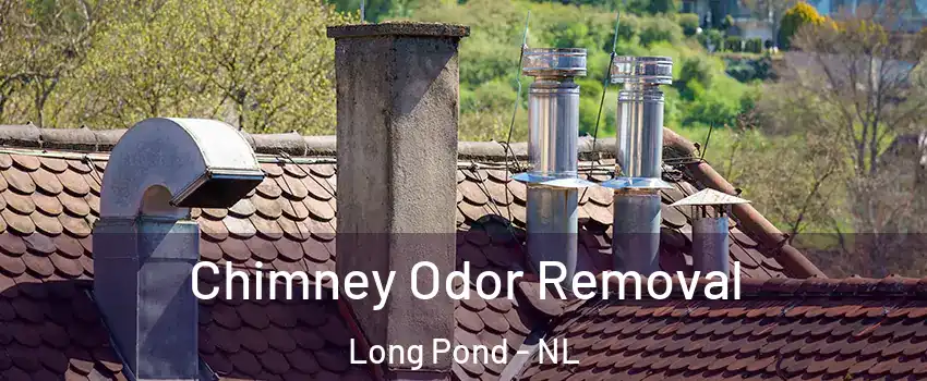  Chimney Odor Removal Long Pond - NL