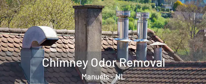  Chimney Odor Removal Manuels - NL