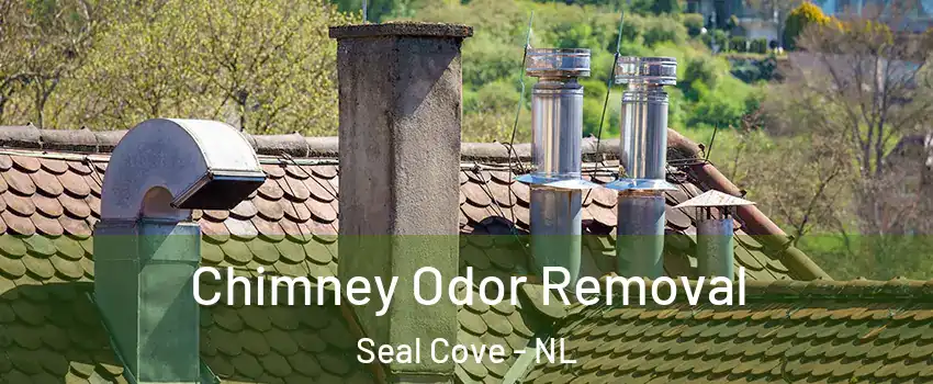  Chimney Odor Removal Seal Cove - NL