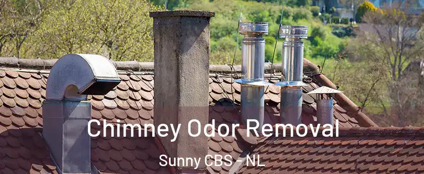  Chimney Odor Removal Sunny CBS - NL