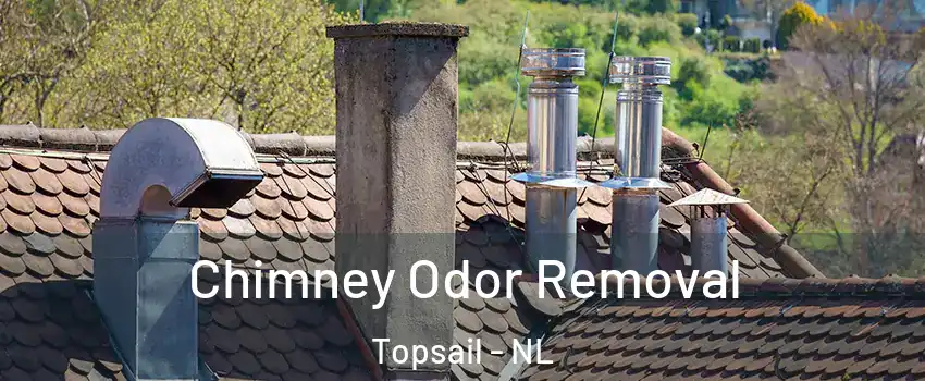  Chimney Odor Removal Topsail - NL