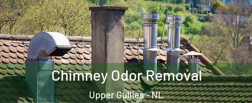  Chimney Odor Removal Upper Gullies - NL