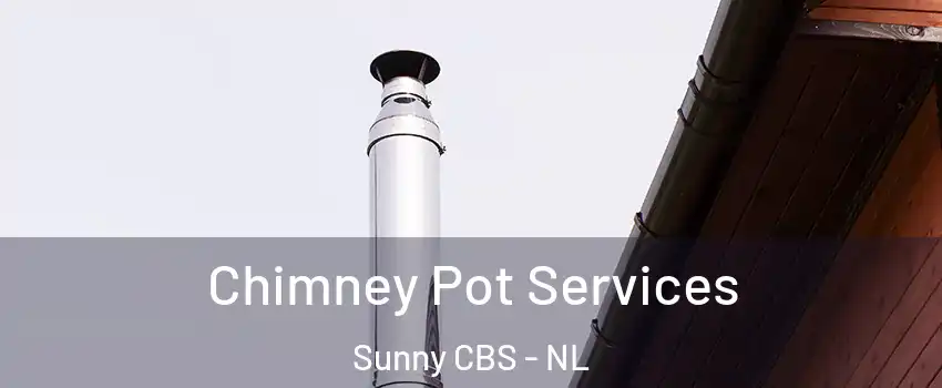  Chimney Pot Services Sunny CBS - NL