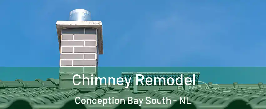  Chimney Remodel Conception Bay South - NL