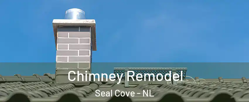  Chimney Remodel Seal Cove - NL