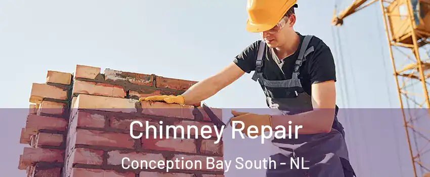  Chimney Repair Conception Bay South - NL