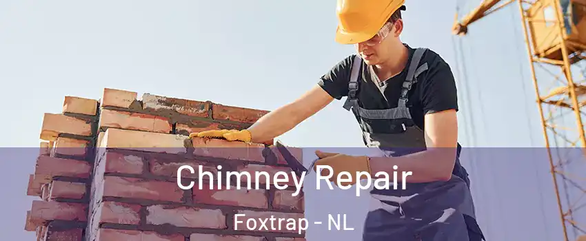  Chimney Repair Foxtrap - NL