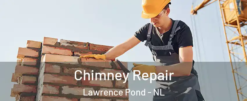  Chimney Repair Lawrence Pond - NL