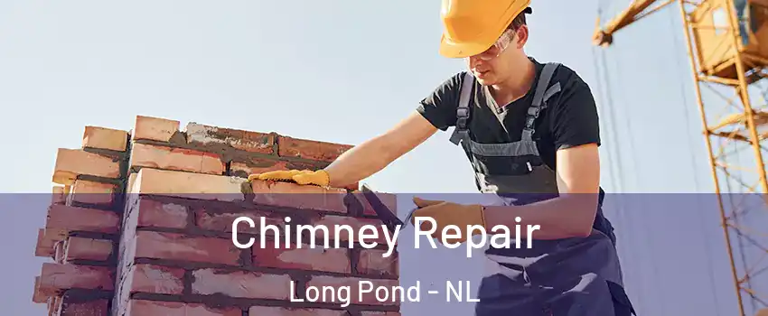  Chimney Repair Long Pond - NL