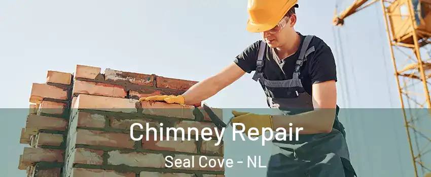  Chimney Repair Seal Cove - NL