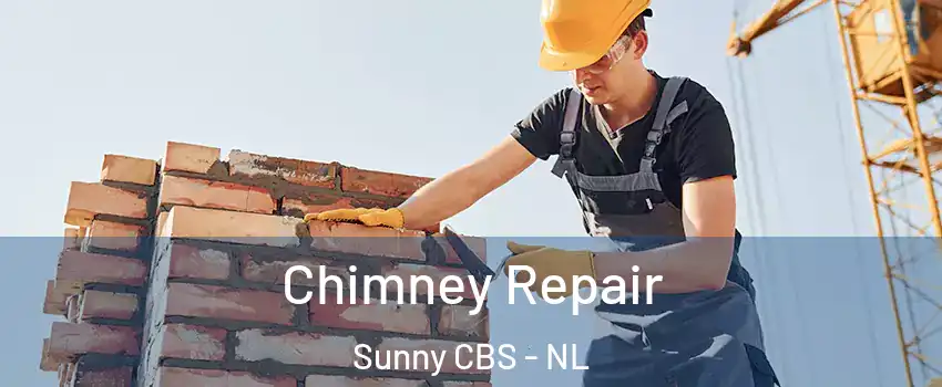  Chimney Repair Sunny CBS - NL