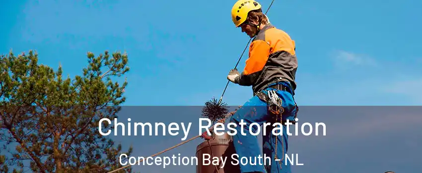  Chimney Restoration Conception Bay South - NL