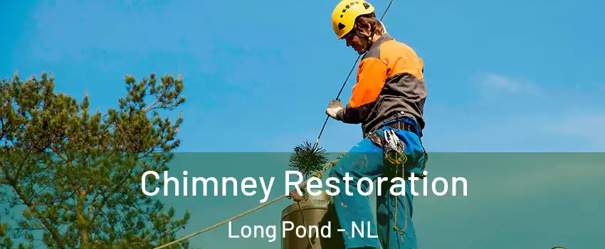  Chimney Restoration Long Pond - NL