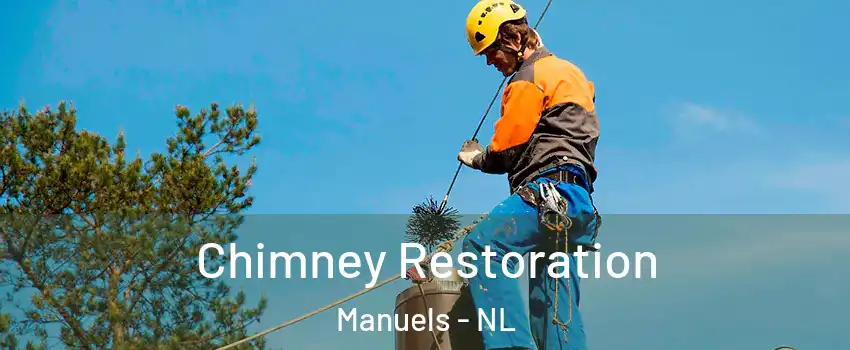  Chimney Restoration Manuels - NL