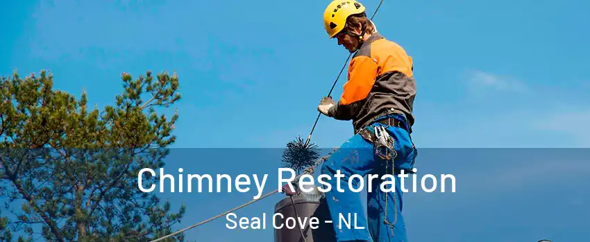  Chimney Restoration Seal Cove - NL