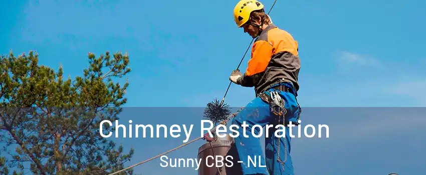  Chimney Restoration Sunny CBS - NL