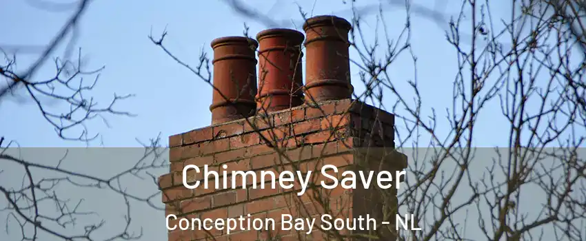  Chimney Saver Conception Bay South - NL