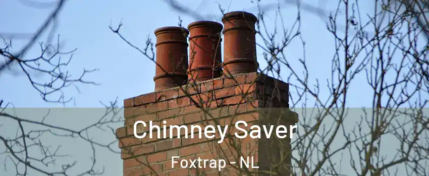  Chimney Saver Foxtrap - NL
