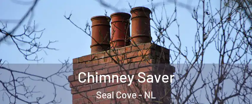  Chimney Saver Seal Cove - NL