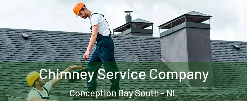  Chimney Service Company Conception Bay South - NL