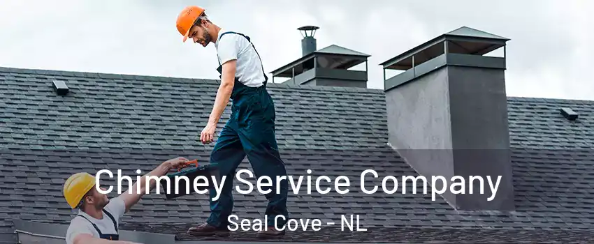  Chimney Service Company Seal Cove - NL