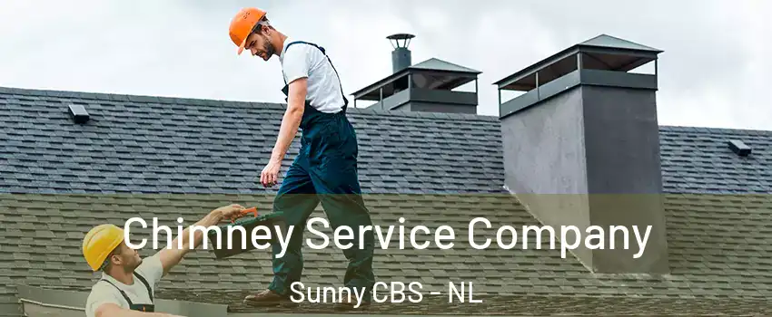  Chimney Service Company Sunny CBS - NL