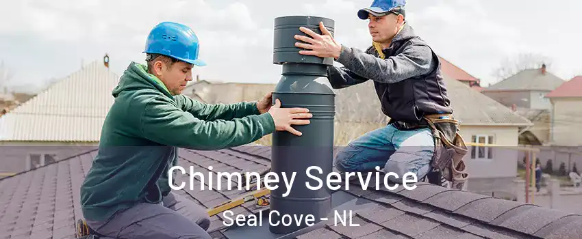  Chimney Service Seal Cove - NL
